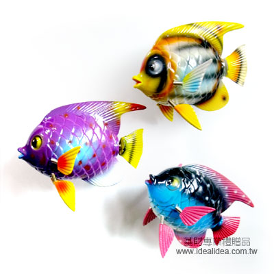 熱帶魚造型磁鐵/冰箱貼